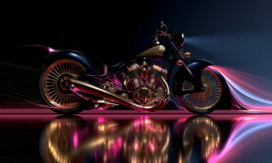 rose swoosh cruiser landscape art